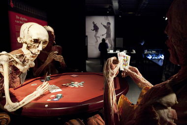 荷兰举办人体标本展览 摆出打牌等造型